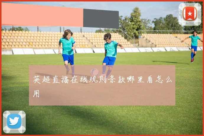 英超直播在线规则条款哪里看怎么用